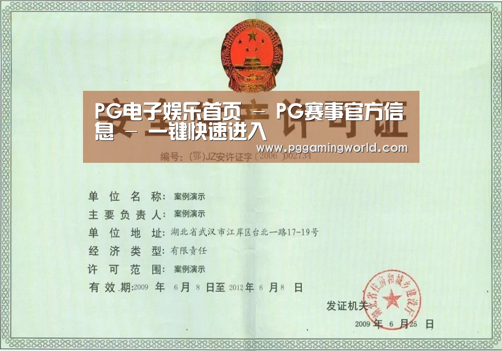 PG娱乐荣誉证书三