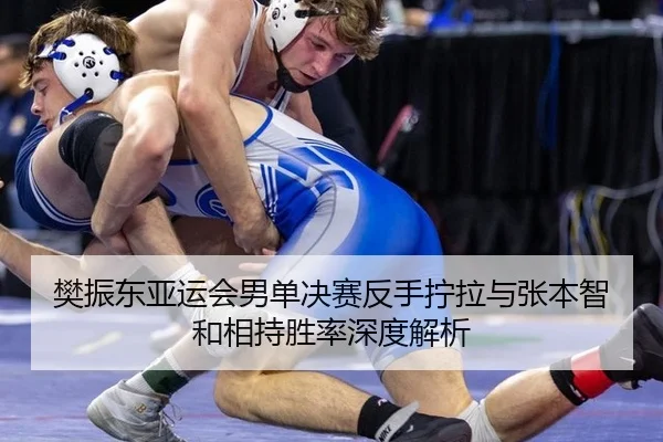 樊振东亚运会男单决赛反手拧拉与张本智和相持胜率深度解析