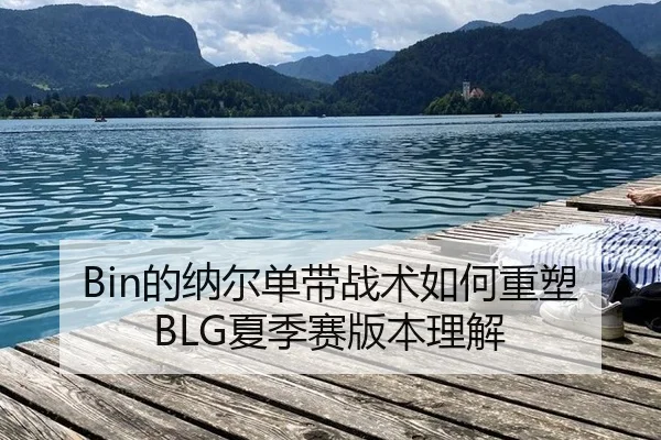 de-na-er-dan-dai-zhan-shu-ru-he-zhong-su-xia-ji-sai-ban-ben-li-jie-3-545.jpg