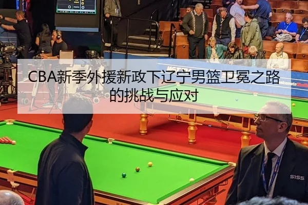 xin-ji-wai-yuan-xin-zheng-xia-liao-ning-nan-lan-wei-mian-zhi-lu-de-tiao-zhan-yu-ying-dui-2-735.jpg